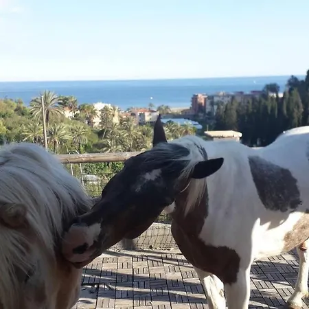 Del Sole Bordighera